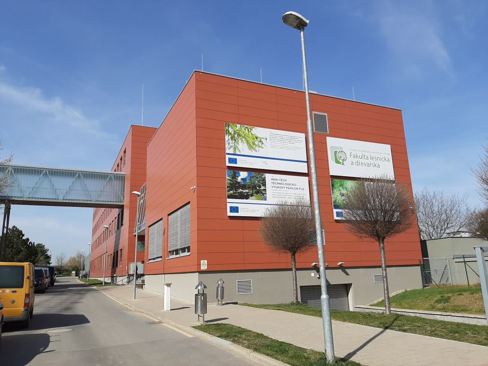 Fotografie
                                školy Fakulta lesnická a dřevařská