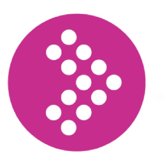 Logo
                                školy Fakulta regionálního rozvoje a mezinárodních studií