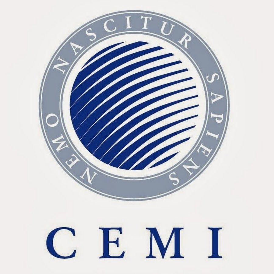 Logo
                                školy Central European Management Institute